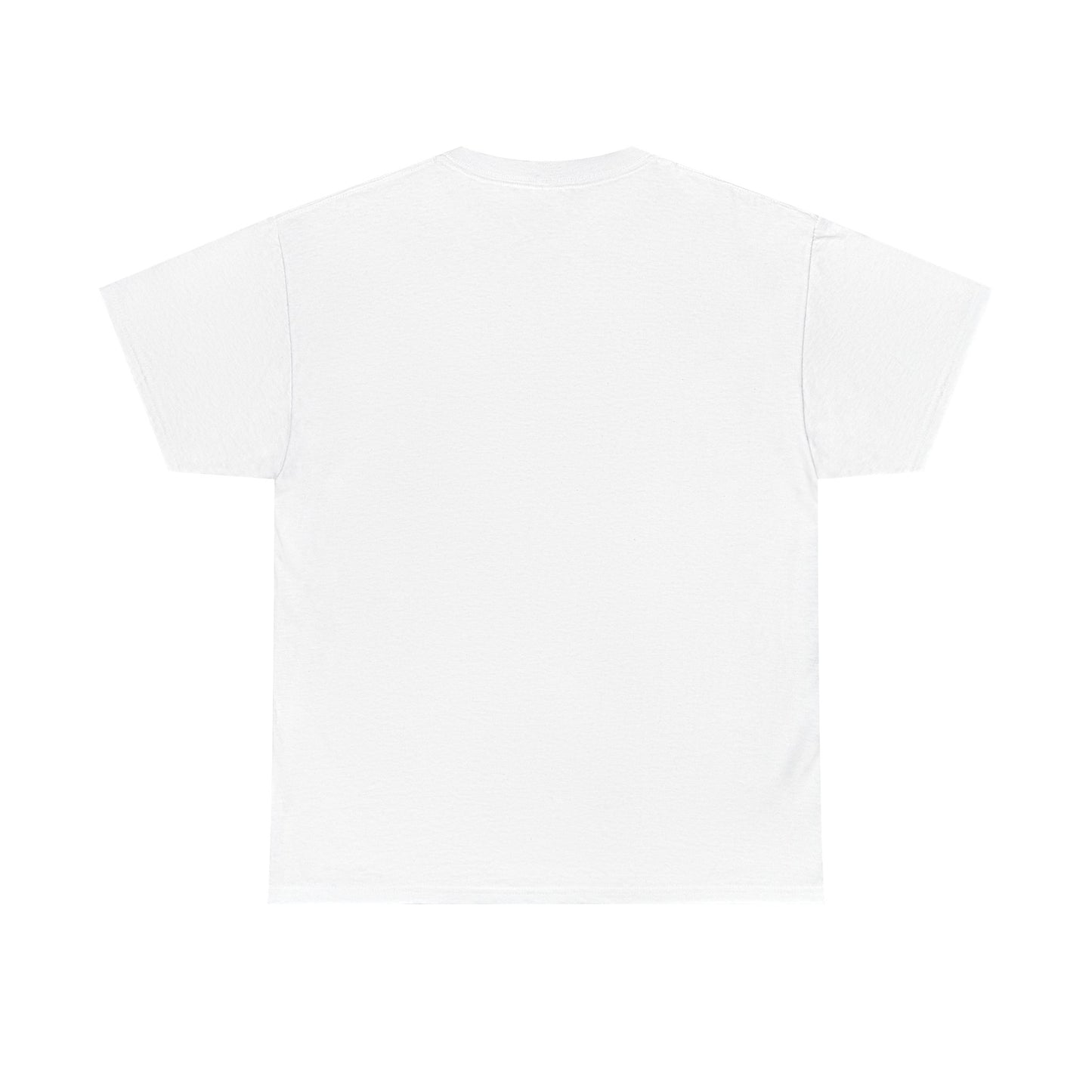 Permission to Pass Unisex Heavy Cotton T-Shirt with free pause necklace, Motivational T-Shirt, Gift for Friends, Casual Wear, Everyday Tee, Quote Shirt